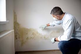  Fairwood, MD Mold Prevention & Removal Pros